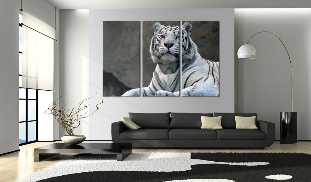 Tavla - Canvastavla - White tiger