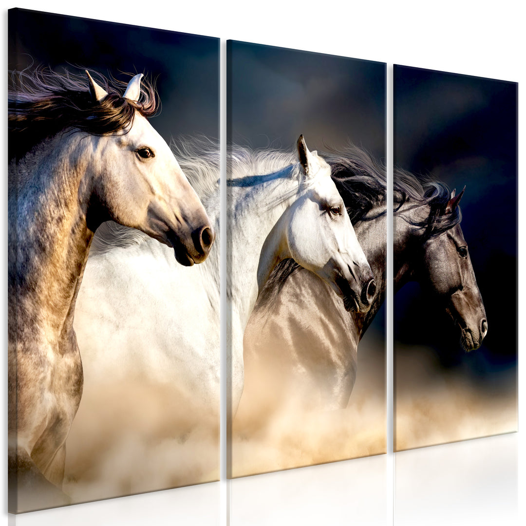 Tavla - Canvastavla - Hästar i frihet, 3 delar