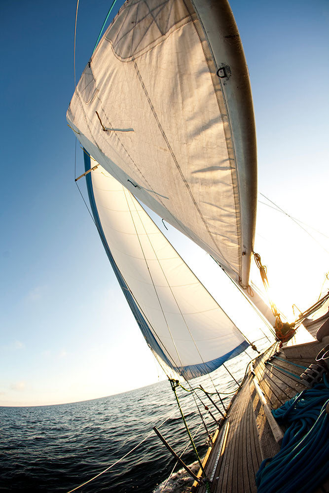 Photo Wallpaper Sailing