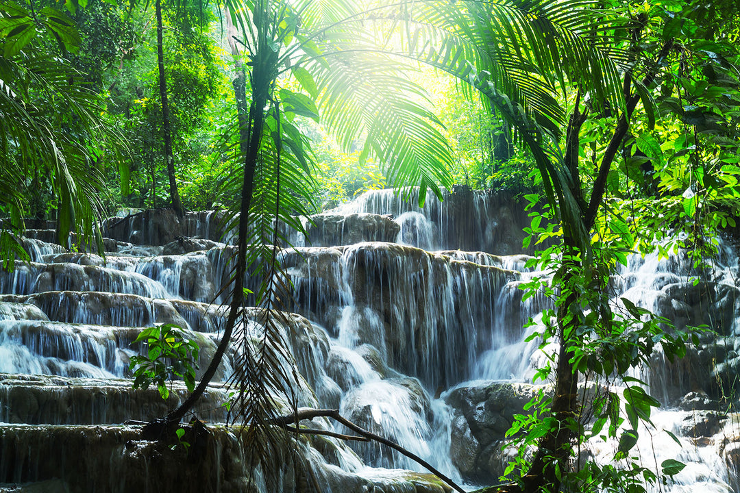 Photo Wallpaper Waterfall Agua Azul