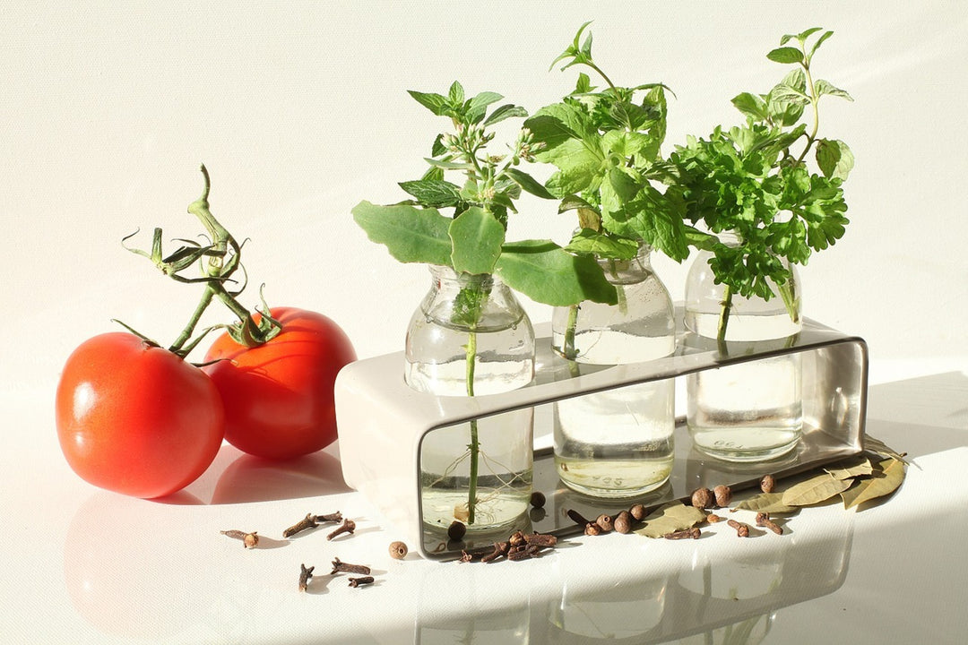 Photo Wallpaper Tomatoes and herbs